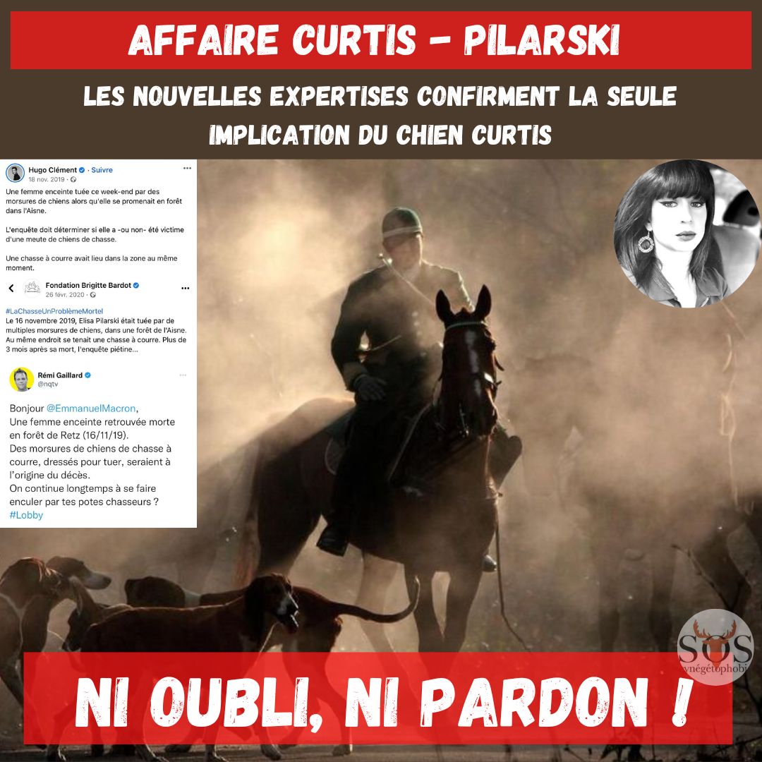defendonschasse's tweet photo. Il aura fallu trois ans pour que l’honneur de la #chasse soit ENFIN lavé ! 
Les dernières expertises révèlent que le seul mis en cause dans le décès d’Elisa #Pilarski est bel et bien #Curtis ! 1/3 https://t.co/pkH8BAWpQs