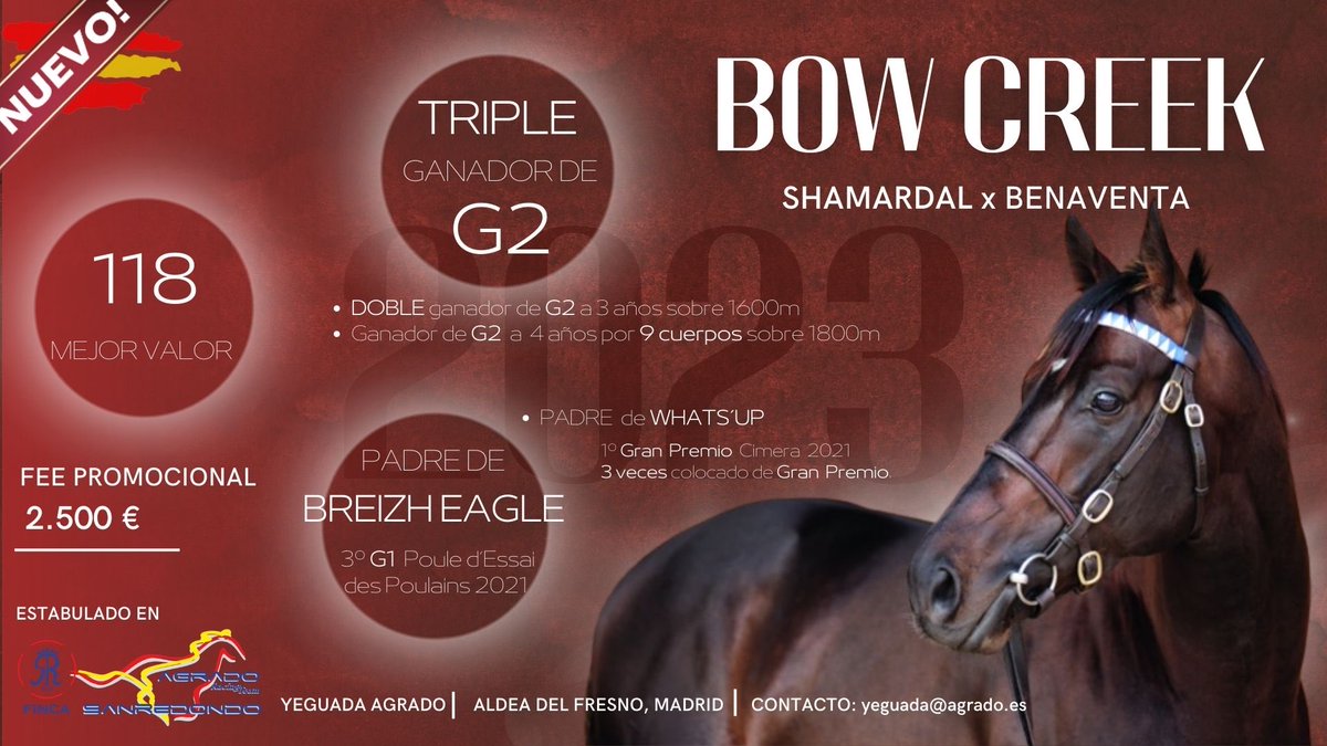 AGRADOracing's tweet photo. Tenemos el placer de informar que, la asociación entre @Partipral1 #LaSerreta #Becares y @AGRADOracing va a poner a disposición de los criadores en España al semental #BowCreek a partir de la próxima temporada de cubrición 2023. https://t.co/zpwK1IUxy1