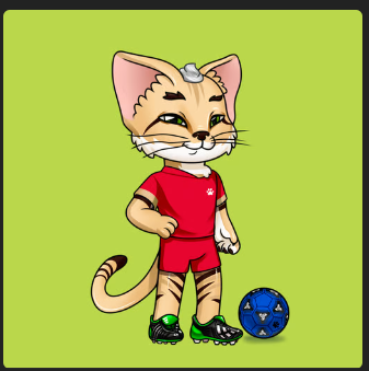 Criptomonedasmolonas tweet media