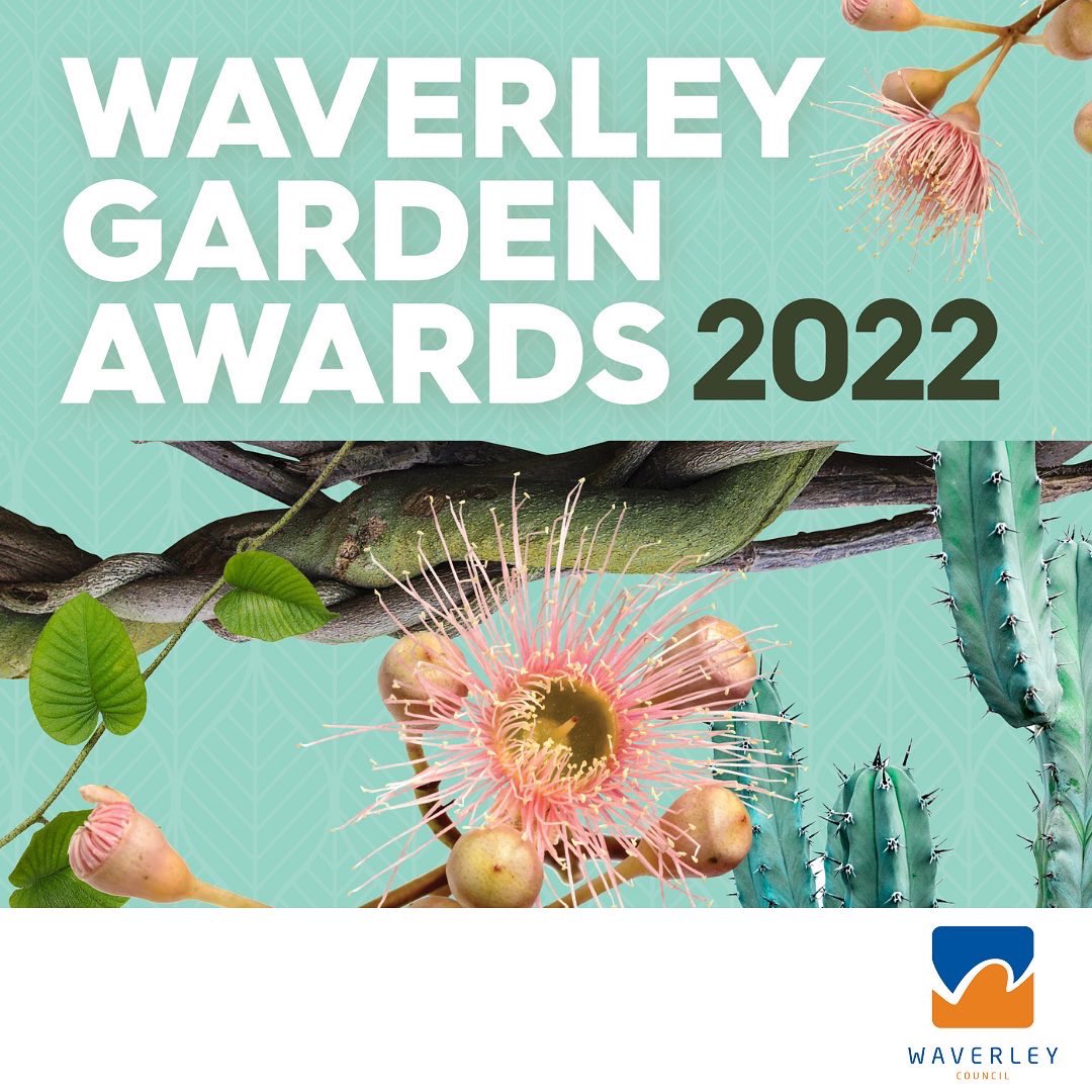 Super excited for the Waverley Garden Awards 2022! <a href="/WaverleyCouncil/">Waverley Council</a> I’ll be presenting two plant talks on Mon and Wed evenings at 6:30! Check out the full program here: bondipavilion.com.au/whats_on/plant…