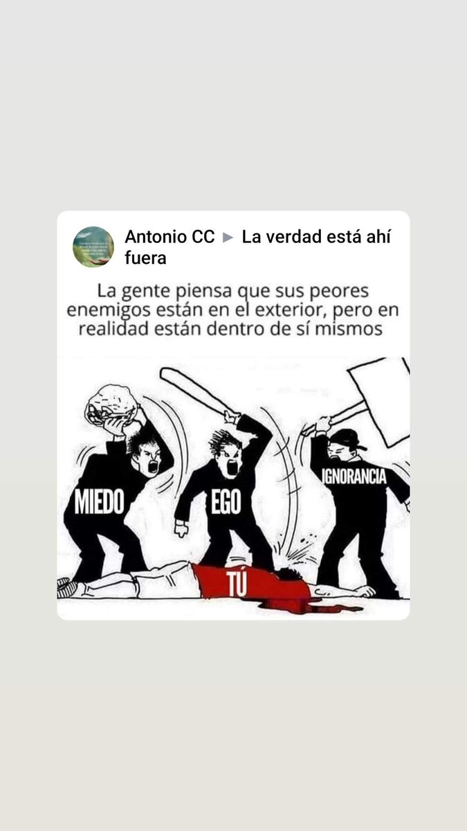 concentraciondeoferta sl. tweet media