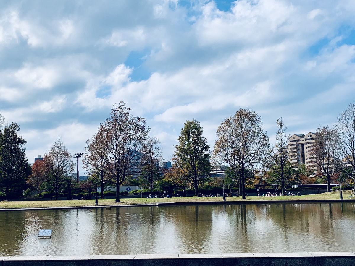 sonosempre's tweet photo. 枝の伐採が行われたため、
今年は、色づくどころか、
ハゲちゃびーんな博物館前。
寂しい。

#福岡市博物館
#紅葉 https://t.co/xEaqnW7mpg