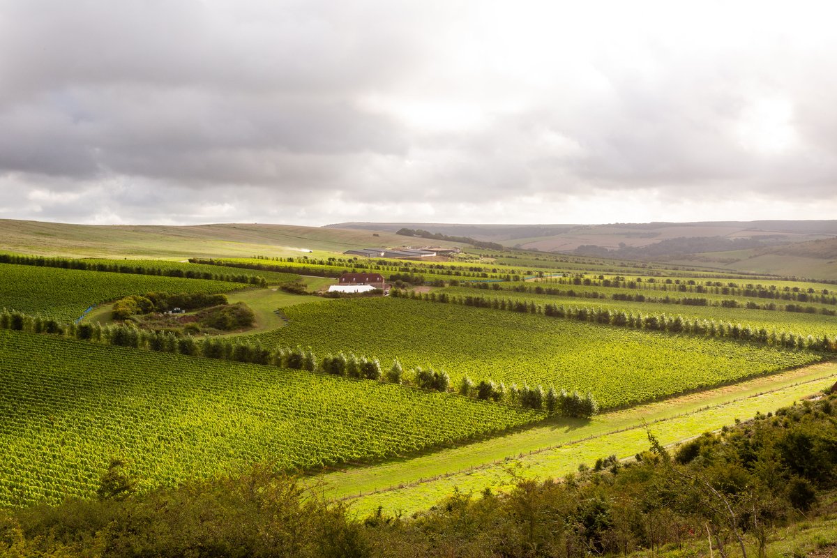 Rathfinny Estate (@rathfinnyestate) on Twitter photo We’re delighted to partner with <a href="/brightonnrgcoop/">Brighton Energy Coop</a> who offer free renewable energy to local businesses, supported through a community share initiative which you can be a part of. Find out more: ow.ly/6zMP50LEHUc We’re delighted to partner with <a href="/brightonnrgcoop/">Brighton Energy Coop</a> who offer free renewable energy to local businesses, supported through a community share initiative which you can be a part of. Find out more: ow.ly/6zMP50LEHUc