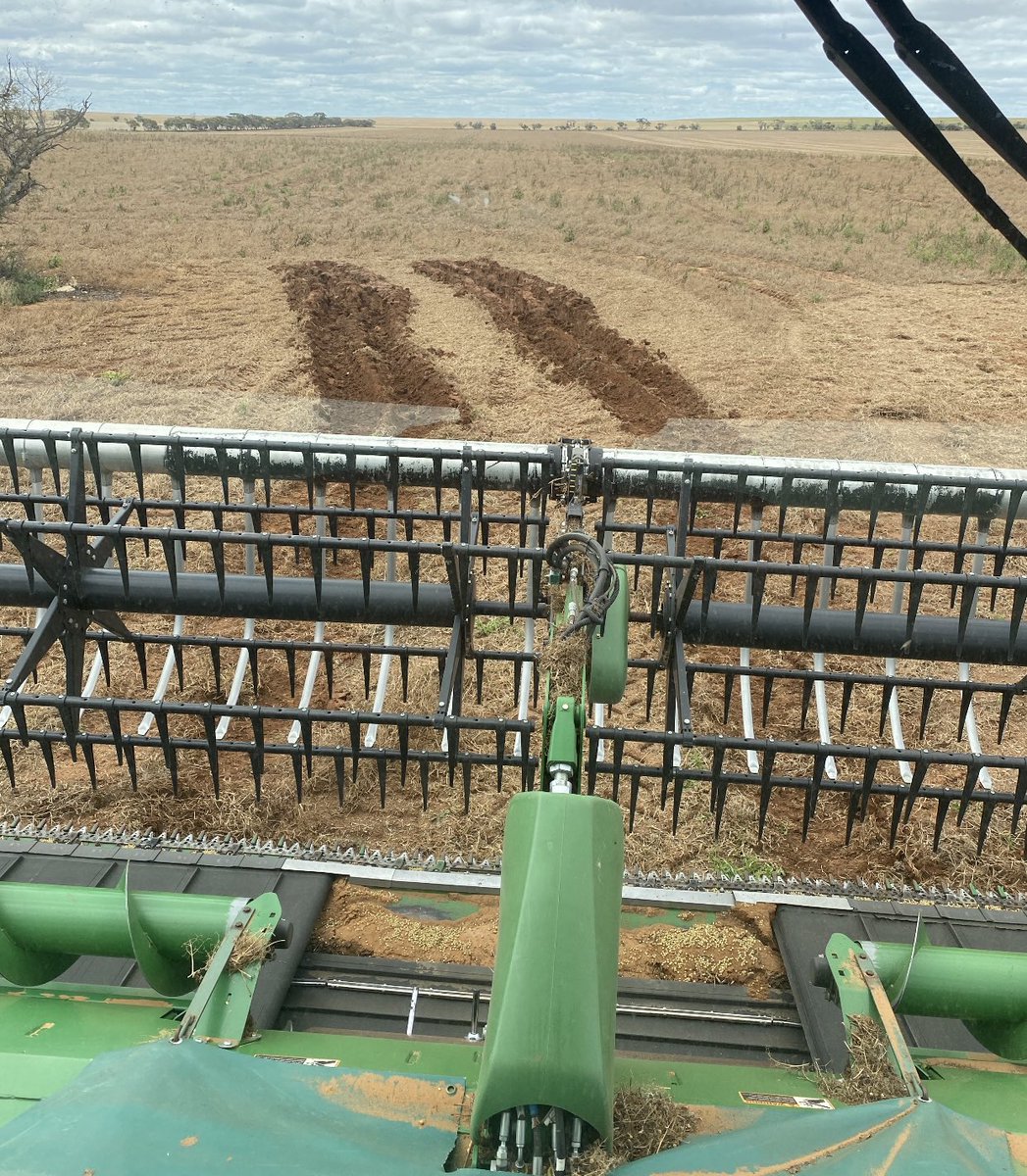 John Gladigau tweet media