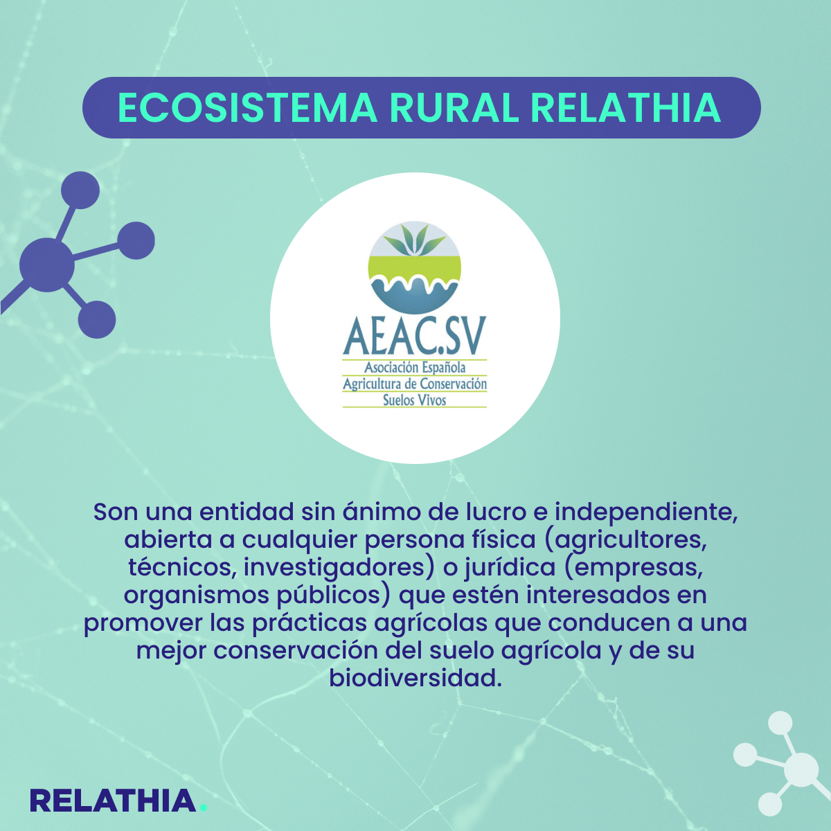 relathia's tweet photo. La agricultura de conservación y biodiversidad del suelo agrario es el objetivo principal de @AEACSV, stakeholder del medio rural que fomenta el desarrollo, docencia e investigación en este tema.
#pensarsumaryactuar #retorural #ecosistema https://t.co/s7TNTYtEI4