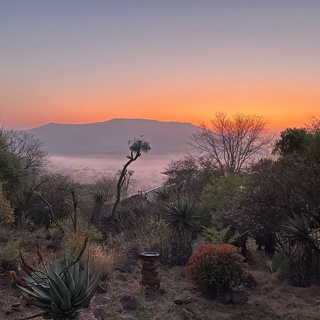 AfricanSafariC2's tweet photo. 📍Three Tree Hill Lodge
These spring mornings for early game walks are #justthebest #africainmysoul .....
.
.
#africansafaricollective #gamewalk #familysafari https://t.co/snUqcTBOxS