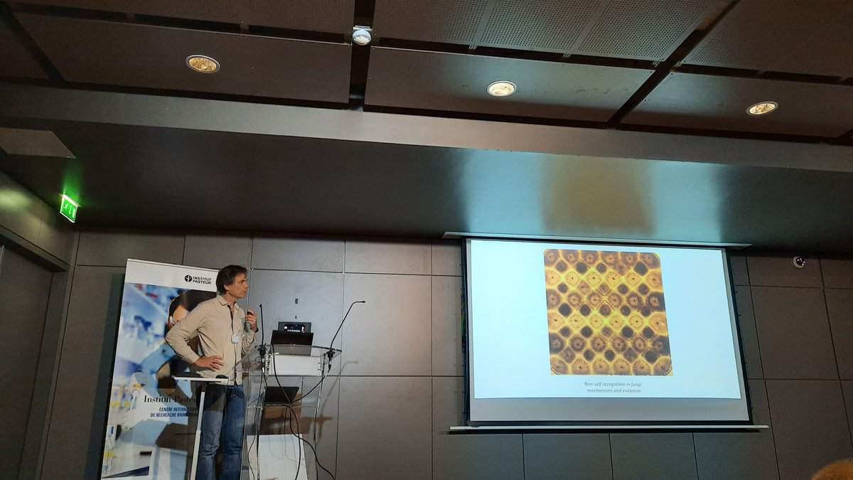 Isabelle Fudal (@ifudal) on Twitter photo #fungIdF 3rd edition of the Fungal Genetics Symposium IDF starting <a href="/institutpasteur/">Institut Pasteur, since 1887</a> by a presentation of our invited speaker Sven Saupe on non self recognition in fungi #fungIdF 3rd edition of the Fungal Genetics Symposium IDF starting <a href="/institutpasteur/">Institut Pasteur, since 1887</a> by a presentation of our invited speaker Sven Saupe on non self recognition in fungi