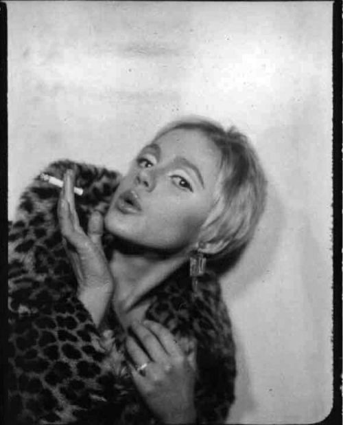 Ciao, Edie! Died on this day fifty-one years ago aged 28: doomed, utterly magnetic Warhol Superstar, scene-maker and socialite Edie Sedgwick (20 April 1943 – 16 November 1971). Pictured: photobooth portrait of Sedgwick, 1966. #EdieSedgwick #WarholSuperstar #AndyWarhol #warhol