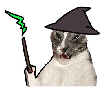 愛猫のLINEスタンプを作ってます 