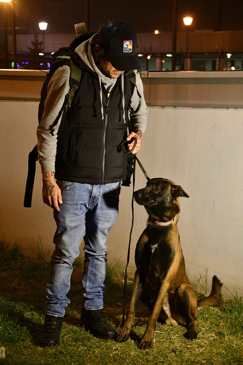 Neophron Returns tweet media