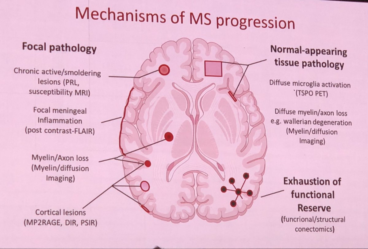 @ThINk_Basel great talk and overview on different mechanisms of #MS progression and how AI is helping to detect this on MRI of brain!
<a href="/msdataalliance/">MS Data Alliance</a> #DataSavesLives