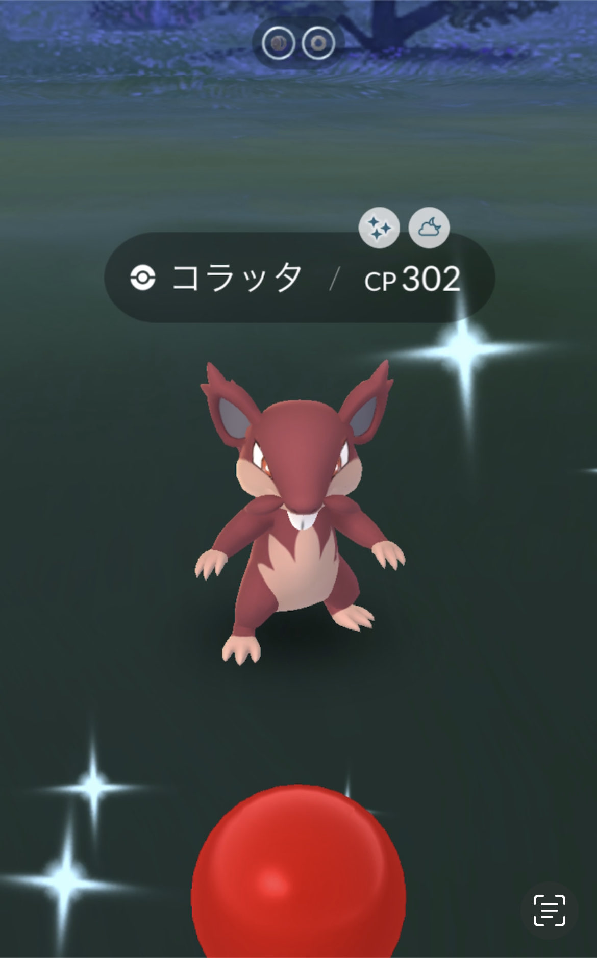 アローラコラッタ Twitter Search Twitter