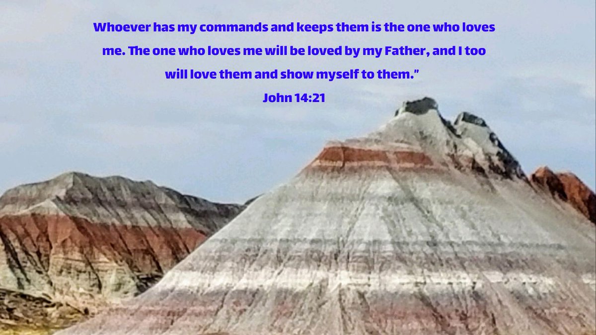 NELHS_Admin's tweet photo. Whoever has my commands and keeps them is the one who loves me. The one who loves me will be loved by my Father, and I too will love them and show myself to them.”
John 14:21 NIV

https://t.co/C6KulnsCXA https://t.co/uUdWfqkXBB