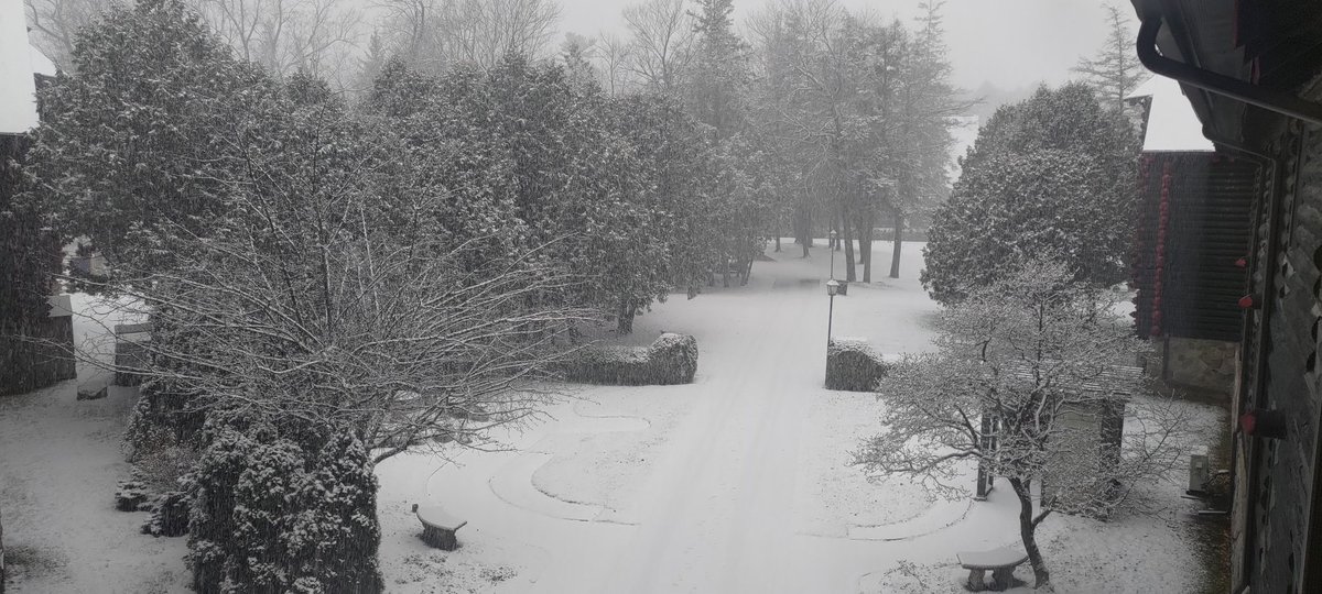 Patrick Pichette tweet media