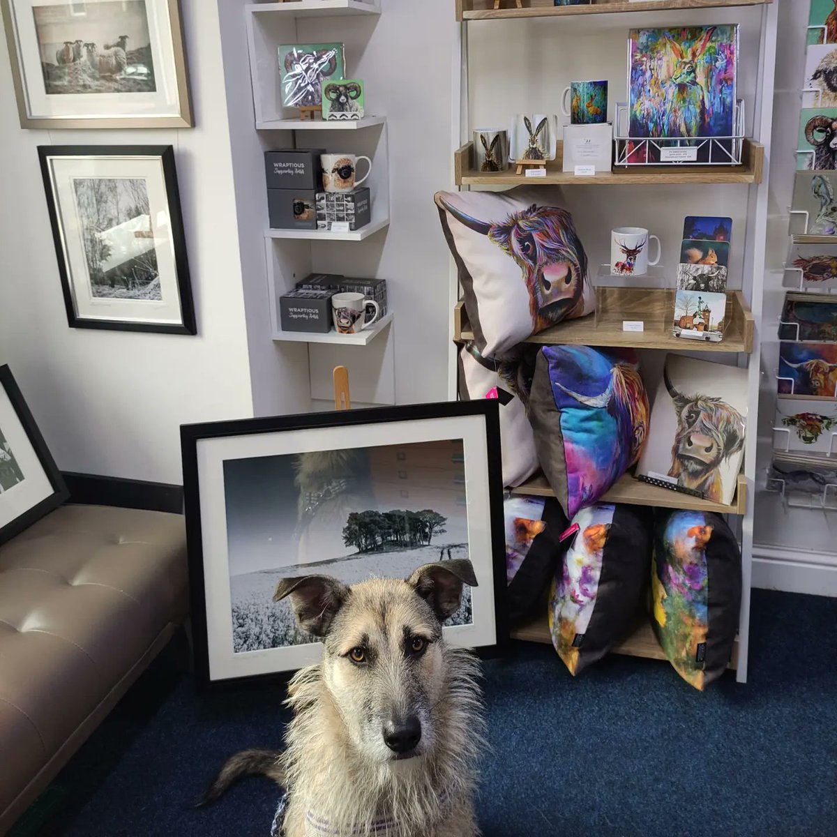 Jack visited <a href="/hamiltonkerr1/">Hamilton Kerr</a> on way home from vets look at all these lovely things make great Xmas pressies 🥰🥰