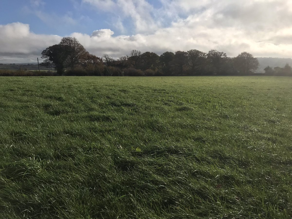 EdDickson7's tweet image. Pretty tasty grub for second tupping cycle 👌