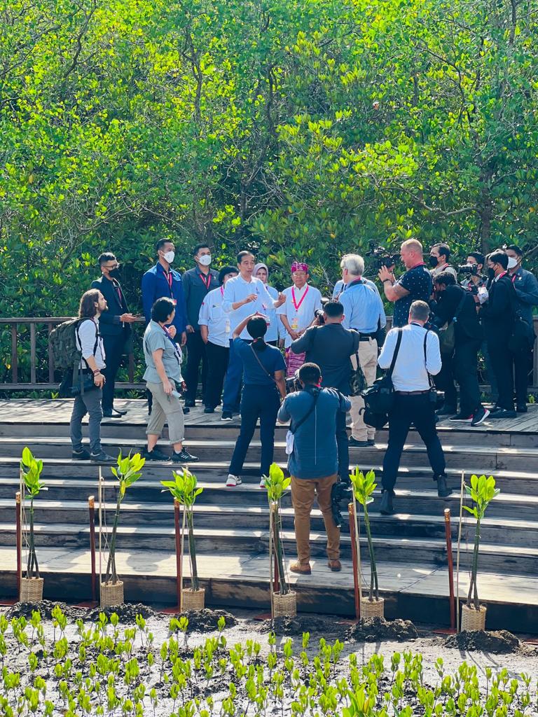 jokowi's tweet photo. Saya sempat menemani para wartawan yang meliput kegiatan KTT G20 berkeliling Taman Hutan Raya Ngurah Rai di Kota Denpasar pagi ini. 

Saya memandu mereka berkeliling Tahura dan melihat mangrove, serta mengenalkan spesies-spesies mangrove di area pembibitan. https://t.co/BaBIGzC3VI
