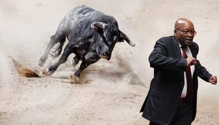 Hi movie le Court yaka Senzo. This Tumelo got a script from the producer. 

#SenzoMeyiwatrial