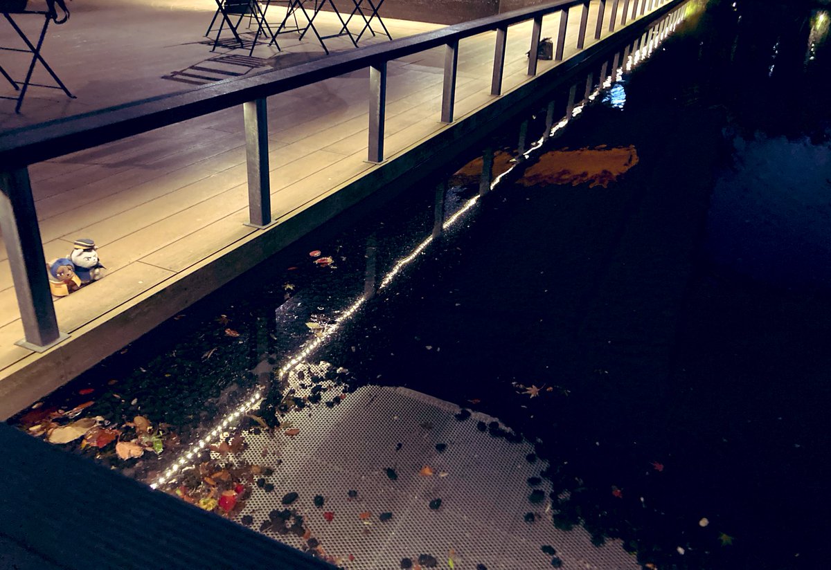 こいとさんを健気に探していたつきしまいぬ (@tsukishimainu) on Twitter photo 