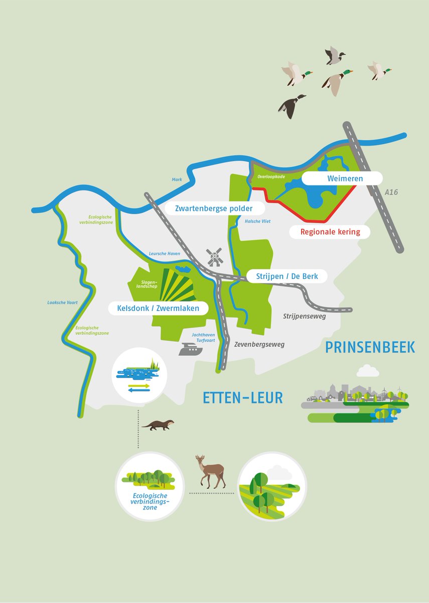 📣Aannemerscombinatie Martens en Van Oord - Van der Ven gaat in opdracht van waterschap Brabantse Delta de waterrijke natuur in Noordrand Midden-west onder handen nemen. De voorbereiding van het project is in volle gang! Lees verder op onze website: bit.ly/Noordrand-midd…