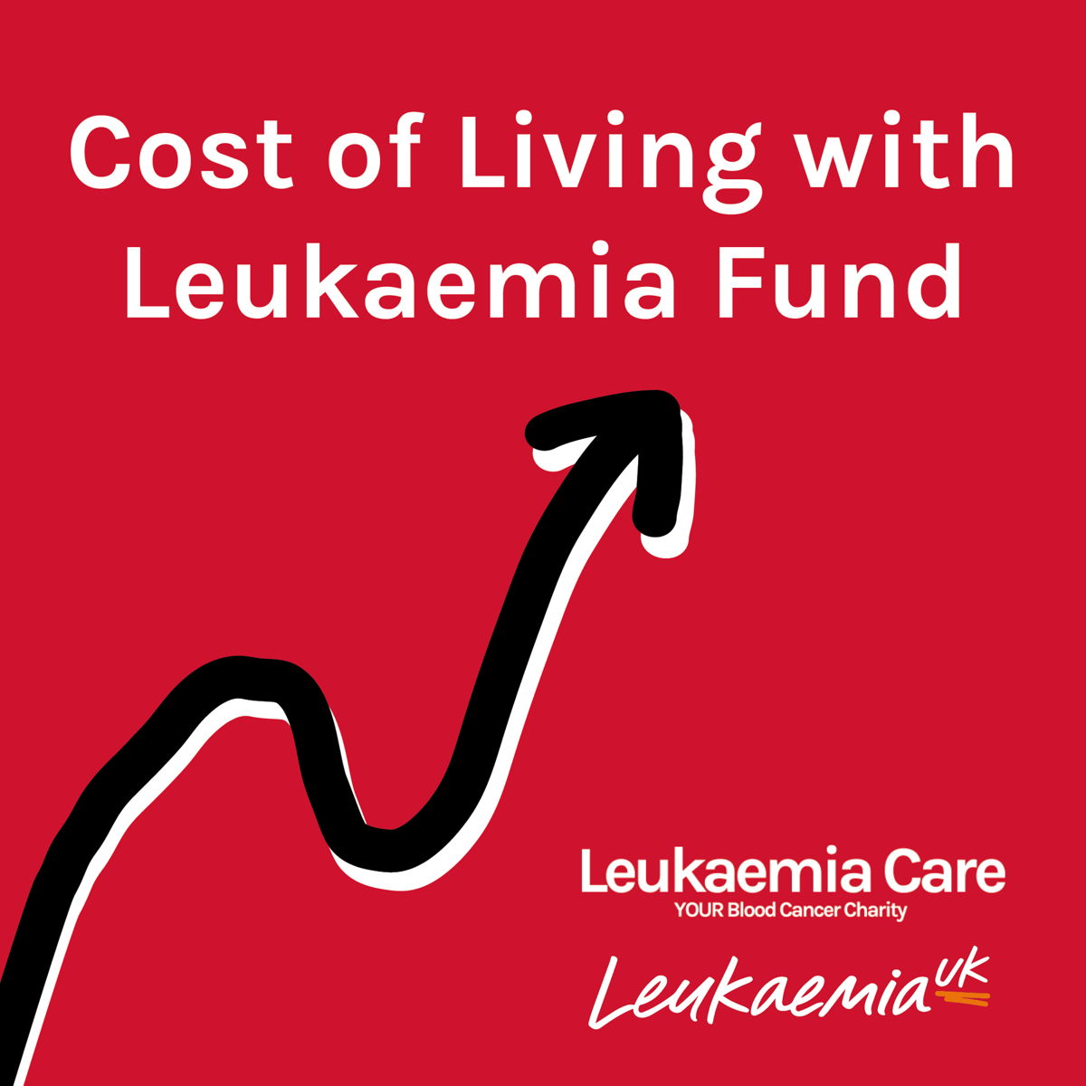 The cost-of-living crisis has really taken a toll on many leukaemia patients.
  
We know this because the demand for financial grants has soared since it began, and we've seen a 400% increase in the number of applications to our existing fund.