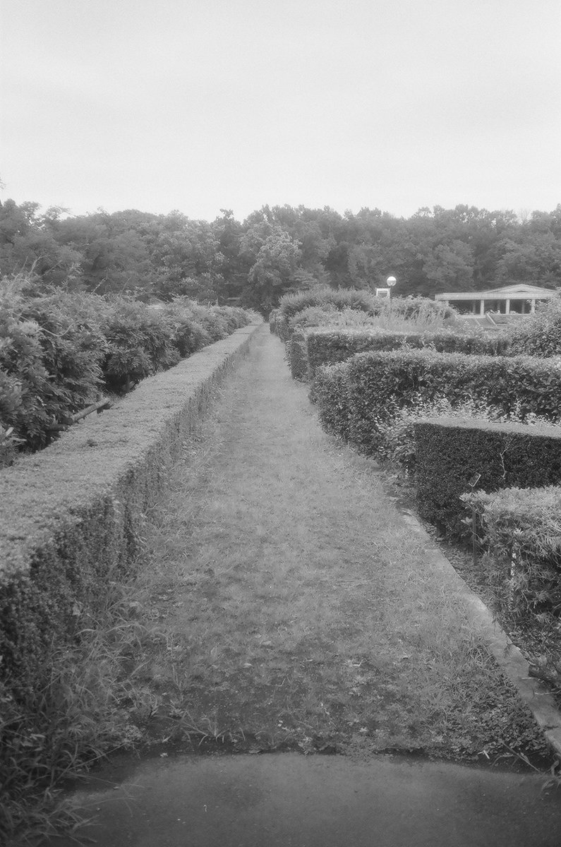 psorcerer's tweet photo. #pentax #espiop #fujifilm #neopan #acros100 #filmphotography https://t.co/hJXbPUOqnL