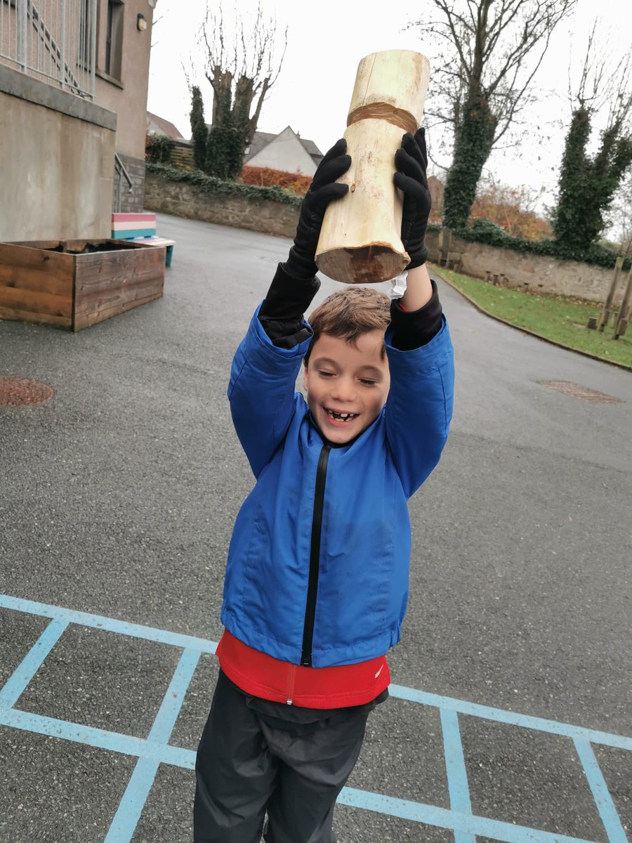 Tarves Primary School and Nursery tweet media