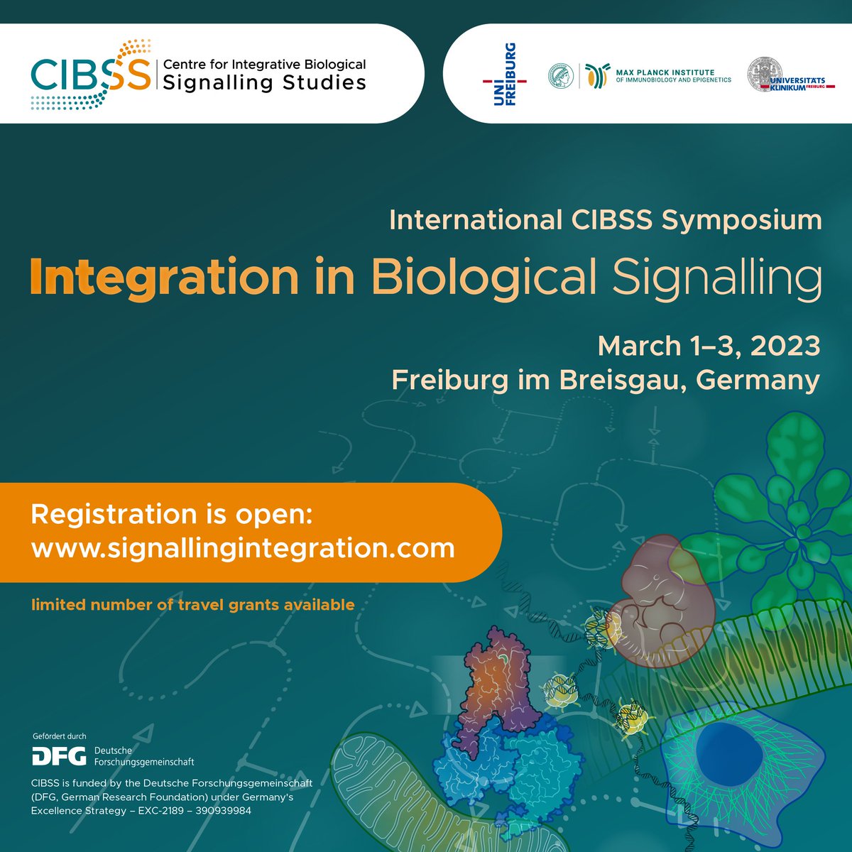 CIBSS_UniFR's tweet image. We invite all scientists in the field of biological signalling research to participate in the 

International #CIBSS Symposium &quot;Integration in Biological Signalling&quot; March 1-3, 2023, in #Freiburg, Germany

Register at signallingintegration.com
Please RT! #SignallingIntegration2023