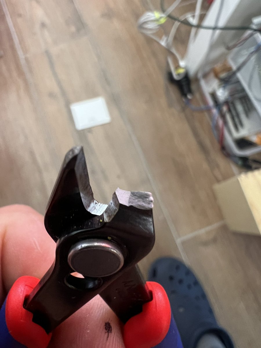 Raico Rosenberg tweet media