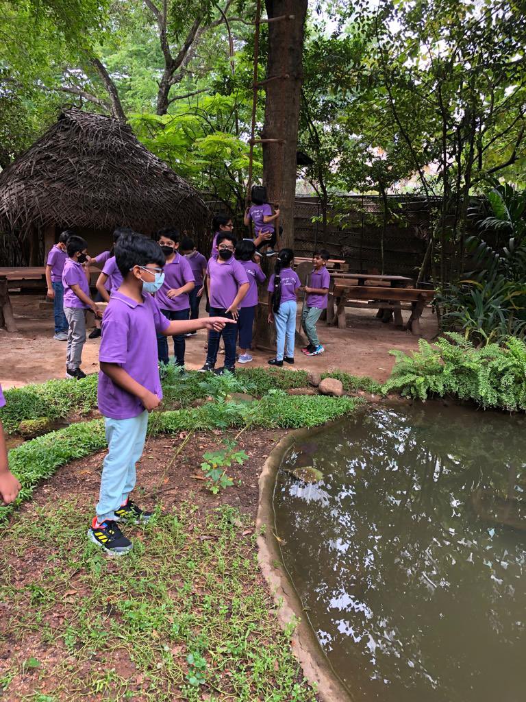 jsyear3's tweet photo. @jsyear3 
Year 3C having a village experience at Nuga Gama https://t.co/BYqxDzp6n2