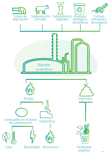 BiovicR's tweet photo. Cuando ves un proyecto de biogas es cuando te das cuenta de que la economía circular funciona y BIOVIC apuesta por un futuro sostenible. #futuro #economía #biogas #biovic #sostenible #biometano #medioambiente https://t.co/Pg6kkK9OoD