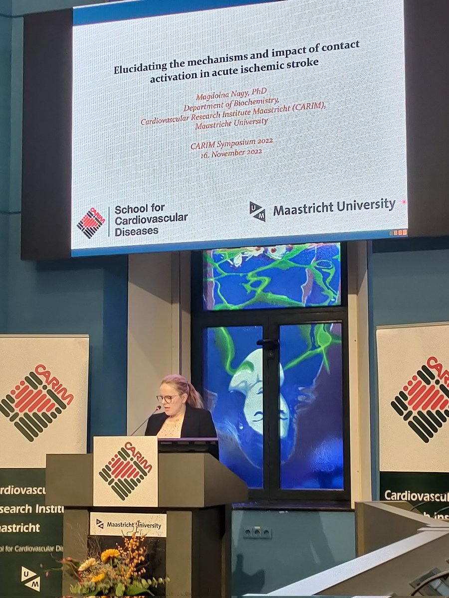 Could targeting contact activation be a better way to treat #stroke? <a href="/MagdiNagy88/">Magdi Nagy, PhD</a> presents her objectives from her <a href="/Hartstichting/">Hartstichting</a> project.