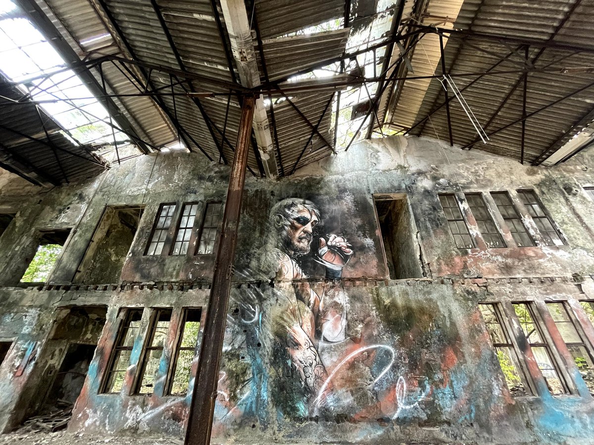 bombaybushfrog's tweet photo. Hidden treasures in the heart of Mumbai! A mural dedicated to the legend Conor McGregor. #mumbai #art #ConorMcGregor #MMA #boxing #UFC #sports @ranjeetnature #graffiti https://t.co/cse0RIuaoO
