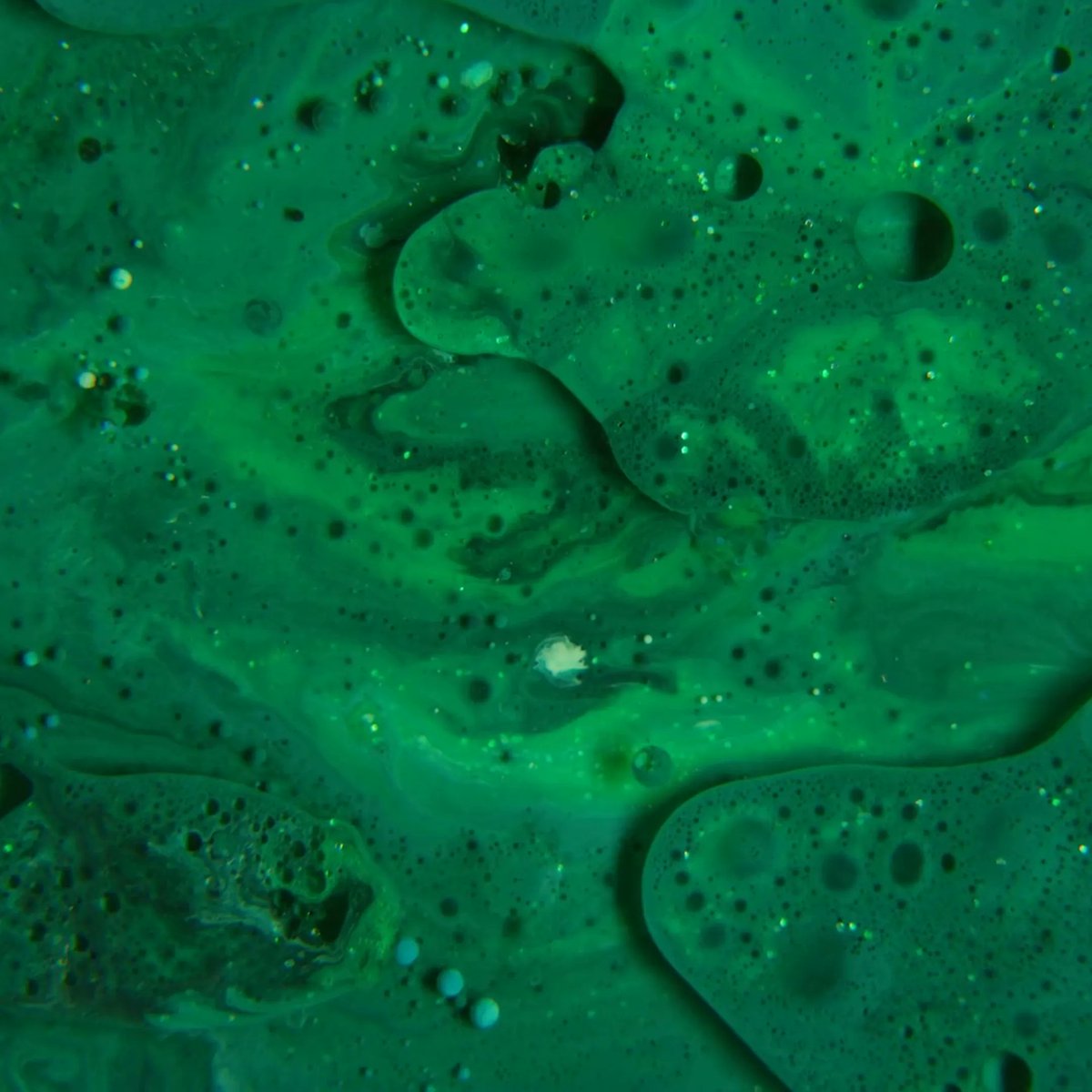 LambdaFilms's tweet image. Create a story that supports your #𝐛𝐫𝐚𝐧𝐝 𝐯𝐚𝐥𝐮𝐞𝐬! 
We specialise in working with… 
➜ Science sector
➜ Technology sector
➜ Education sector
➜ Products
➜ And more! 
Contact us to book in your project for 2023!: 
lambdafilms.co.uk/contact/