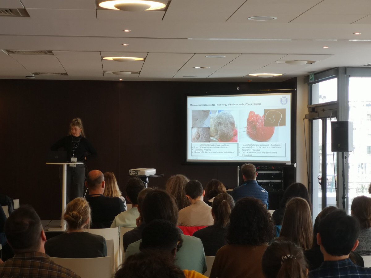 DavidWThieltges's tweet photo. Insa Herzog talking about seal lice as vectors for heartworms in seals and their adaptations to living on seals at the @iseempd. Amazing natural history! https://t.co/gTajP3ig5f