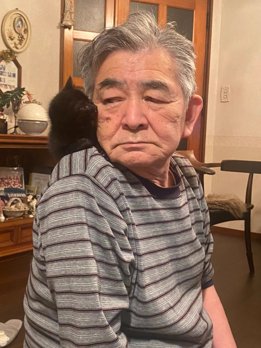 猫との暮らしを楽しんでる！？雰囲気でわかる幸福度。