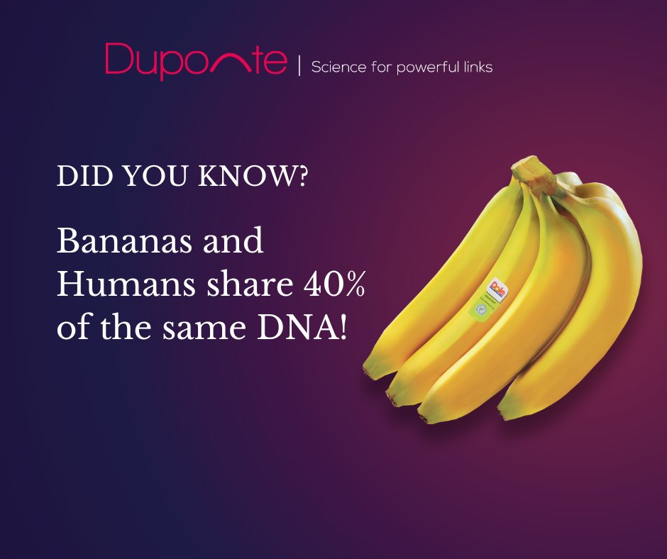 Wow 😮  Did you know this 🤔 
#DNA #Sevilla #Science #Biology