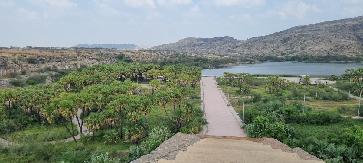 بحيرة سد وادي #جازان
