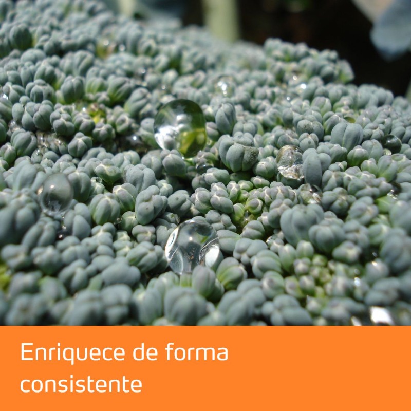 YaraIberian's tweet photo. 🚜 YaraMila™ COMPLEX aporta una proporción equilibrada de nitrógeno nítrico y amoniacal para acompañar al crecimiento de la planta en sus diferentes fases.

🥦 Además, su fósforo y potasio está en forma asimilable.

Más información ⬇️

#Agricultura #KnowledgeGrows