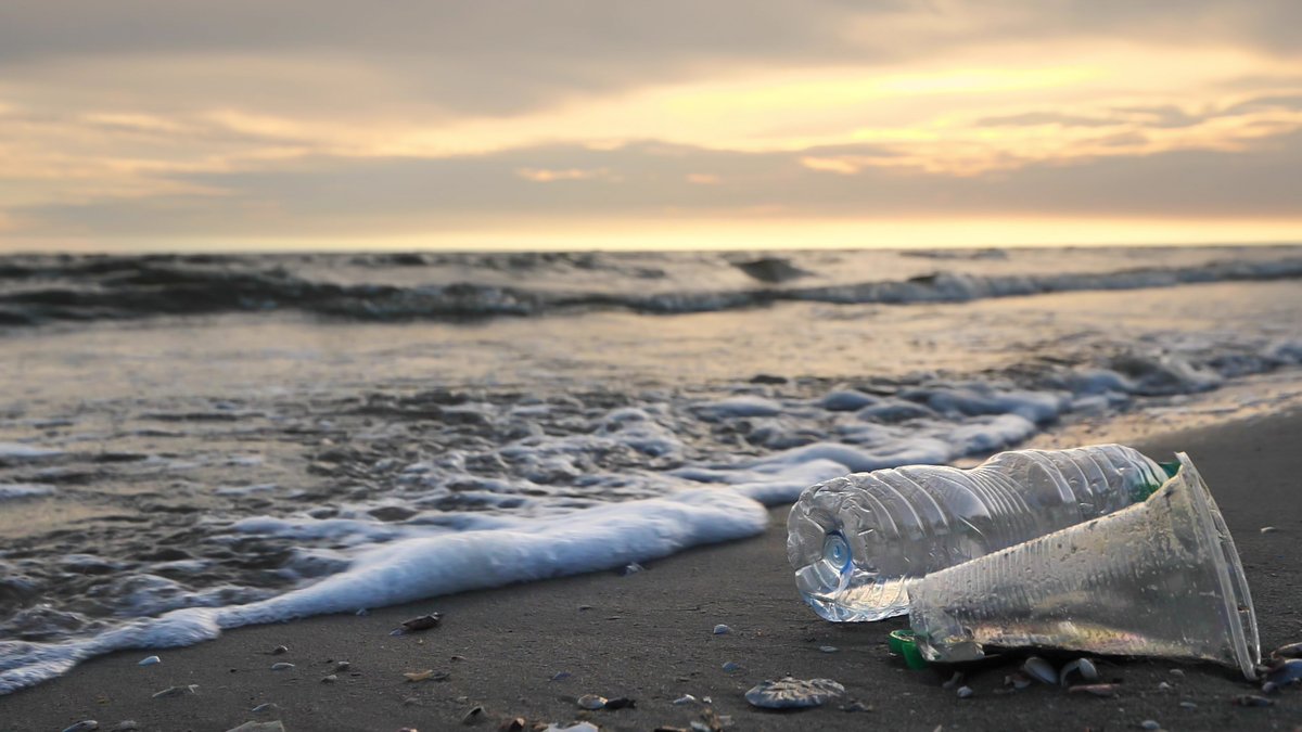 minderoo's tweet photo. Can supply chain transparency help end the plastic pollution crisis? Join experts @cate_lamb at @CDP, John Willis from @planet_tracker, @m_schnitger at @circulareconomy &amp; @Emmaboon from @no_plasticwaste for a fireside chat to discuss.

📍Minderoo Pavilion - 11am EET 17/11. #COP27 https://t.co/CDj3fmg6Q0