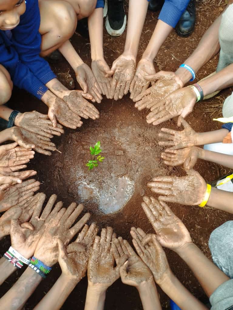 kiprono_tk's tweet photo. What's your contribution towards restoration of our #biodiversity? 
Let's change our mindset and #ACTNOW towards climate action as even #COP27 continues.
It takes an individual effort to make a difference.
#SustainingLife #MyRoots #restoration #ClimateCrisis https://t.co/1GtOkuNSZA
