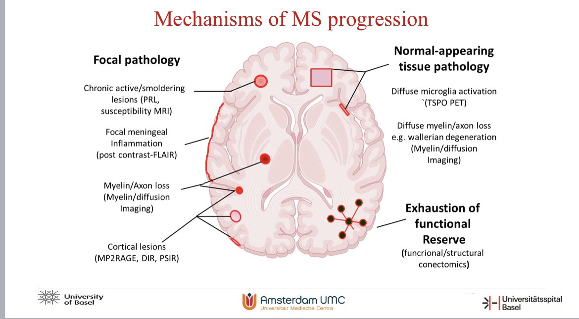 Today Cristina Granziera (@ThINk_Basel) and I were invited to speak together at the #MS Data Alliance (<a href="/msdataalliance/">MS Data Alliance</a>) Stakeholder Engagement Meeting in beautiful Baveno. How can #AI help the MS MRI field to better predict progression? How do we implement findings in clinic?