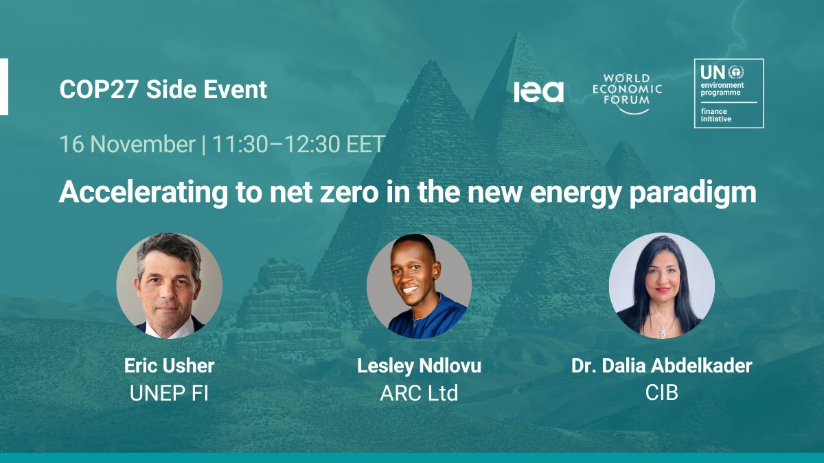 In this #COP27 side event, Lesley Ndlovu, CEO, <a href="/ARCapacity/">African Risk Capacity Group</a> and NZAOA Steering Group member said:

“What gets measured gets done. What I am looking at in my company is the MW of energy from renewables that we are financing. The amount in 2023 must be higher than in 2022.”