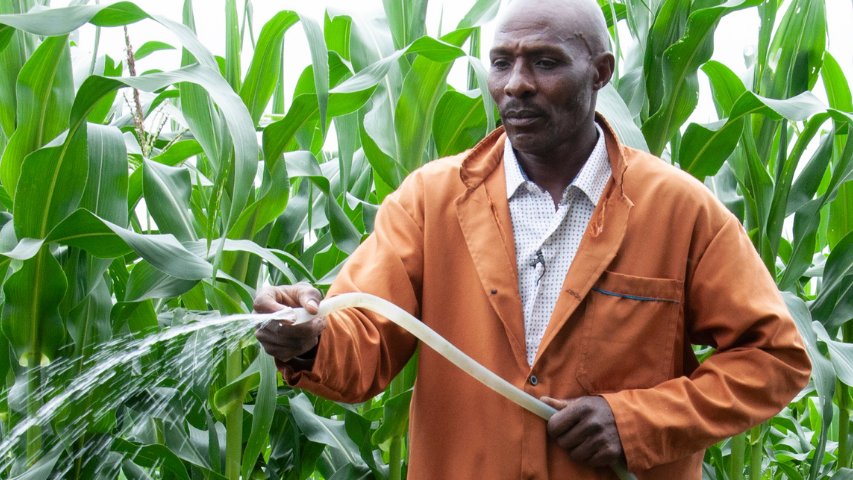 Incorporating #sustainableenergy in agri-food systems is imperative to reduce greenhouse gas emissions and increase #climateresilience. Read our new report on developing the market for solar-powered irrigation in Kenya. Learn more⬇️

bit.ly/3UYmMZ1

#COP27 #SDG7Pavilion