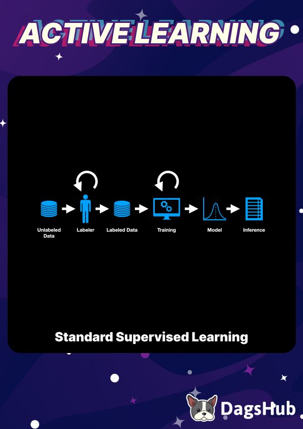 Dean 🐶 tweet media