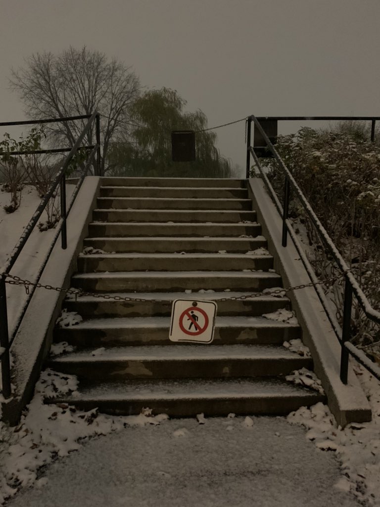 Siobhan Kirkland tweet media