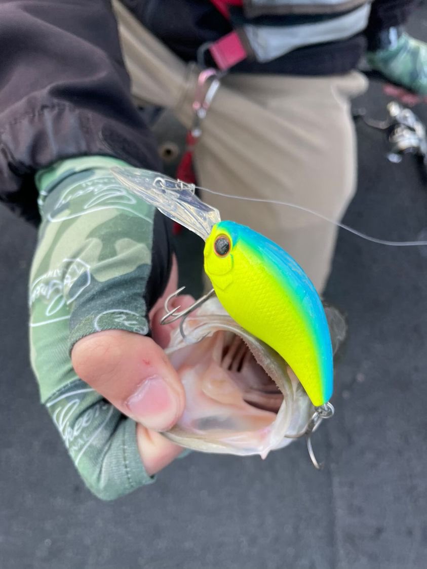 ワイルドハンチ8フッター Twitter Search Twitter