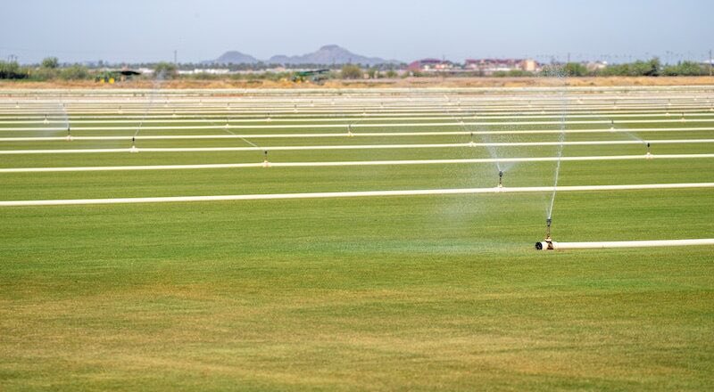 SostenCarni's tweet photo. #AcqueReflue depurate💧: potrebbero fornire una soluzione alla mancanza d’#acqua per l’#agricoltura e garantire un risparmio sui #concimi 🌾
Progetto ValueCE-IN, sperimentazione del #GruppoHera, #Enea, #Irritec e @Unibo
👇🏻
https://t.co/kxm8lxfM7r https://t.co/jyeOLBkLfA