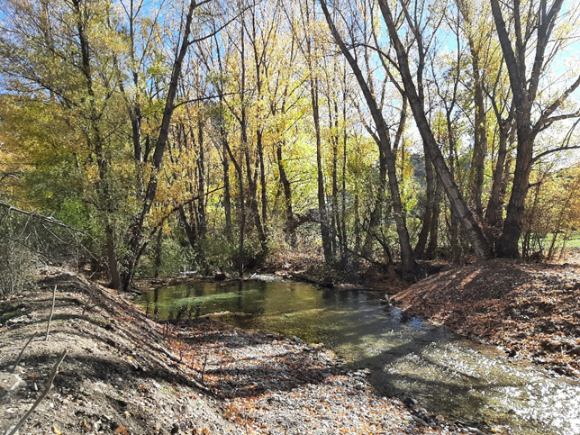 CHJucar's tweet photo. 3⃣Por último, se han realizado dos actuaciones para mejorar el ecosistema del río.
👉Eliminación de estación de aforo ⛏️ en desuso y adecuación del cauce, en Tramacastilla.
👉Construcción de una #RampaParaPeces🐟#FishLadders en el río, en Torres de Albarracín. https://t.co/gh76flElkG