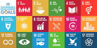 UN Liberia tweet media